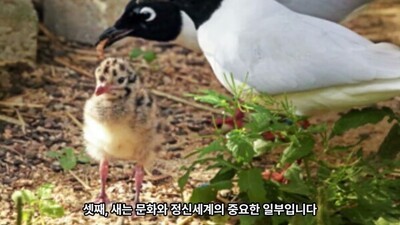 웃어라 꽃섬