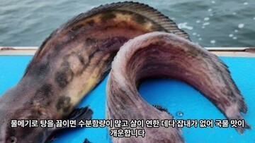 남해뉴스
