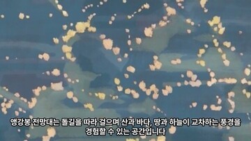 남해뉴스