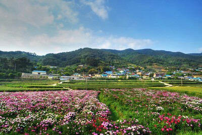 [연재]사진 속 남해이야기_0011